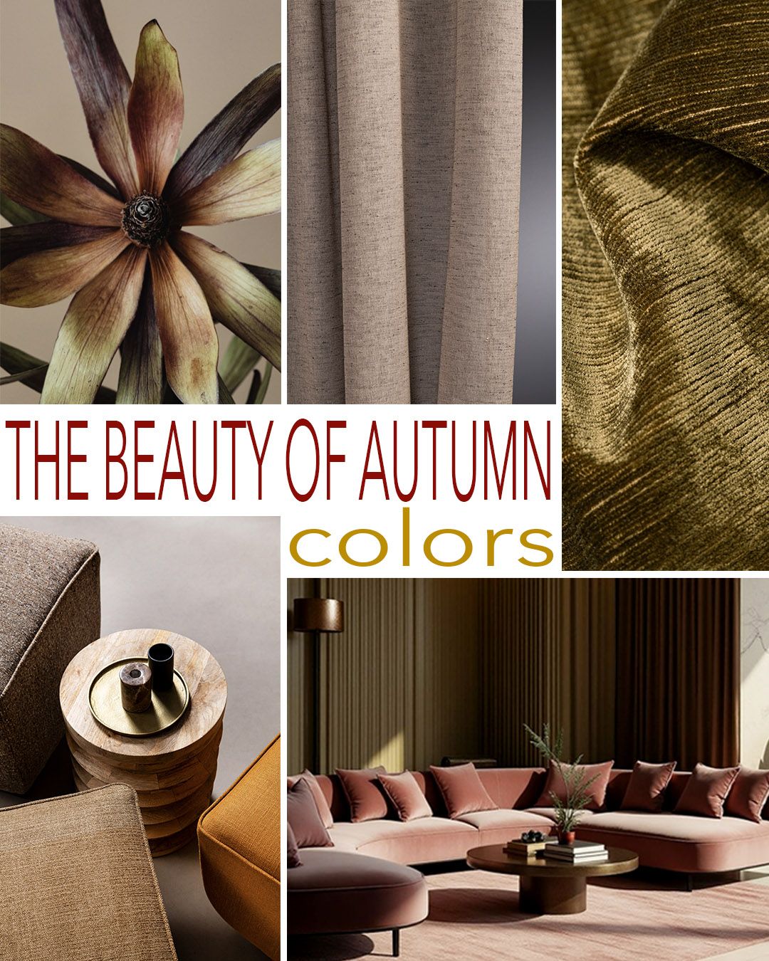 Autumncolorsmood kopie